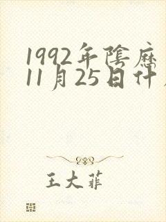 1992年阴历11月25日什么命