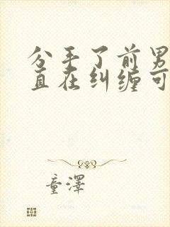 分手了前男友一直在纠缠可以报警吗