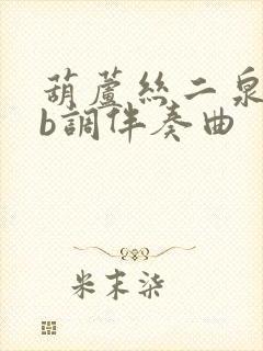 葫芦丝二泉吟降b调伴奏曲