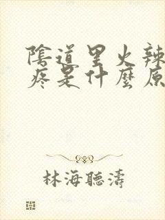 阴道里火辣辣的疼是什么原因