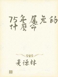 75年属兔的是什么命