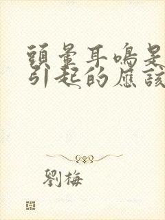 头晕耳鸣是什么引起的应该怎么治疗封面