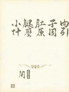 小腿肚子肉疼是什么原因引起的