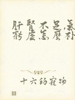 肝肾不足,气血亏虚怎么补