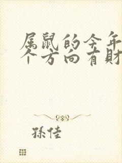 属鼠的今年去哪个方向有财运封面