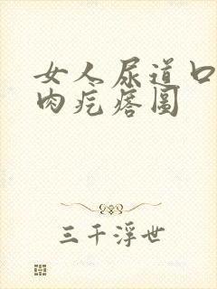 女人尿道口长小肉疙瘩图