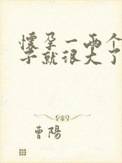 怀孕一两个月肚子就很大了正常吗?封面