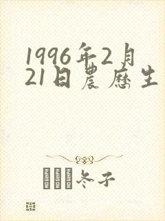 1996年2月21日农历生辰八字