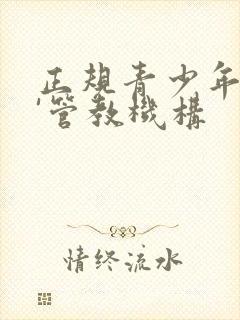 正规青少年叛逆'管教机构