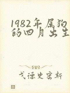 1982年属狗的四月出生的命运封面