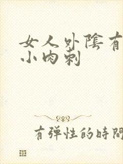 女人外阴有两个小肉刺