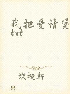 我把爱情煲成汤txt