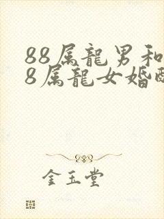 88属龙男和88属龙女婚配好吗
