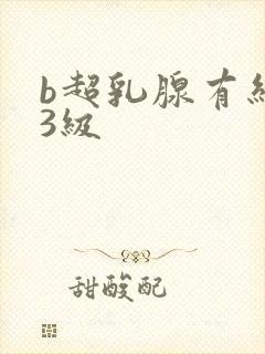 b超乳腺有结节3级