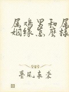 属鸡男和属马女姻缘怎么样封面