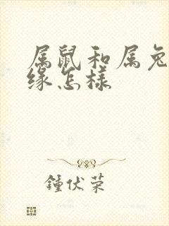 属鼠和属兔的姻缘怎样