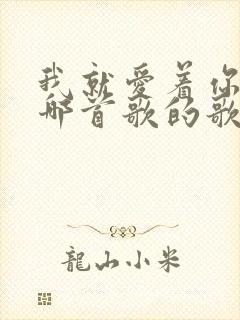 我就爱着你,是哪首歌的歌词