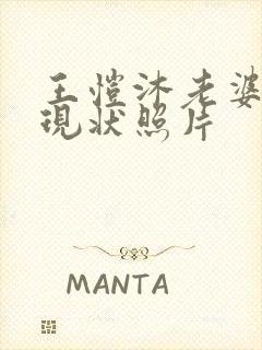 王恺沐老婆陈静现状照片