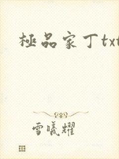 极品家丁txt封面