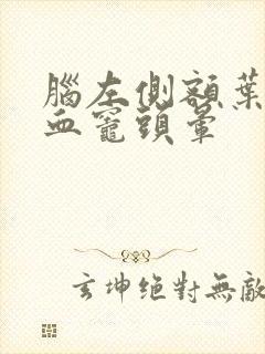 脑左侧额叶小缺血灶头晕