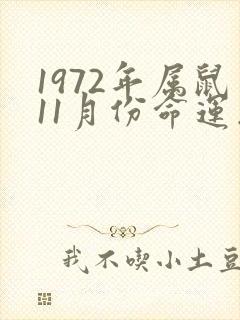1972年属鼠11月份命运怎样