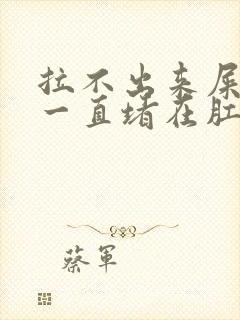 拉不出来屎感觉一直堵在肛门怎么办