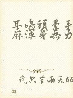 耳鸣头晕手脚发麻浑身无力封面