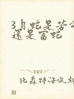 3月蛇是苦命蛇还是富蛇封面