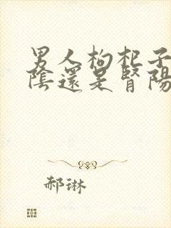 男人枸杞子补肾阴还是肾阳