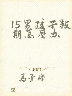 15男孩子叛逆期怎么办封面