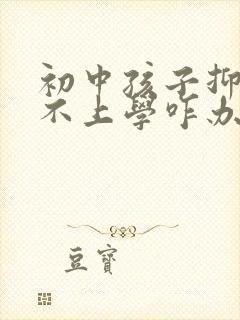 初中孩子抑郁了不上学咋办