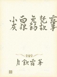 小白兔梵露和大灰狼的故事封面