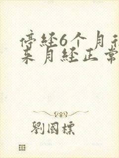 停经6个月后又来月经正常吗封面