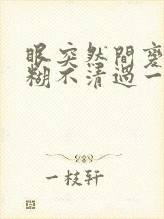 眼突然间变成模糊不清过一会好了