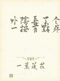 外阴长了个疙瘩一按有点疼