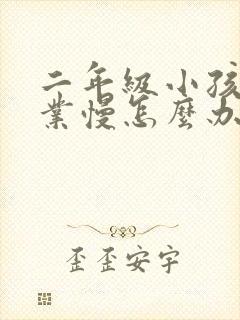 二年级小孩写作业慢怎么办封面