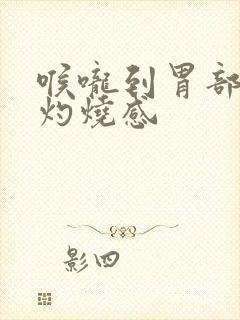 喉咙到胃部都有灼烧感封面