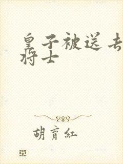 皇子被送去犒劳将士