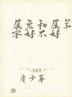 属兔和属羊的八字好不好封面