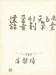 怀孕41天b超能看到孕囊吗