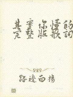 其实你懂的原唱完整版歌词