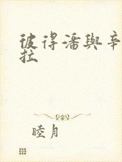 彼得潘与辛德瑞拉封面