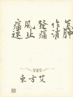 痛风发作怎样快速止痛消肿封面