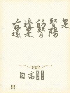 右边的肾是肾阴还是肾阳