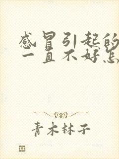 感冒引起的咽炎一直不好怎么办封面