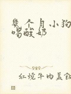 几个月小狗可以喝酸奶