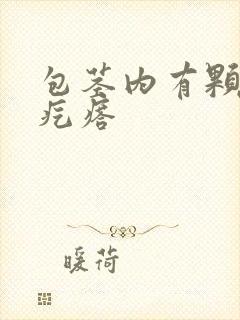 包茎内有颗粒小疙瘩