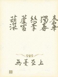 葫芦丝独奏竹林深处李春华简谱封面