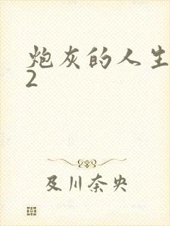 炮灰的人生快穿2