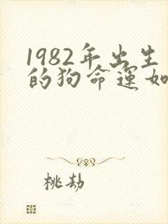 1982年出生的狗命运如何